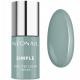 NeoNail Simple One Step Protein 8151 DELIGHTED